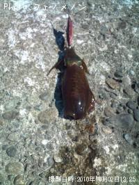 �����ꥤ��