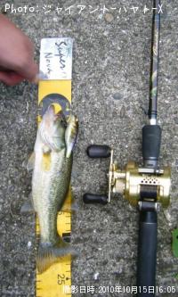 �֥�å��Х�