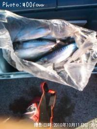 ¤½¤¦¤À¡ª³ï