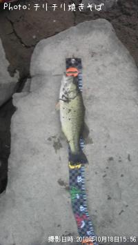 ¥Ö¥é¥Ã¥¯¥Ð¥¹