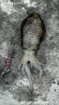 �����ꥤ��