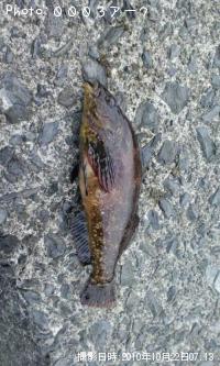 �����ʥ�