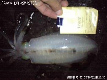 ¥¢¥ª¥ê¥¤¥«