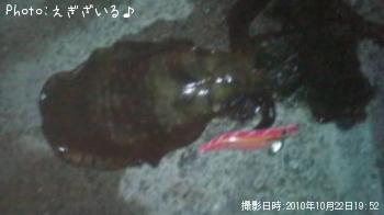 �����ꥤ��