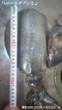 �����ꥤ��