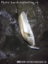 �����Х�