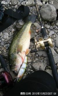 �֥�å��Х�