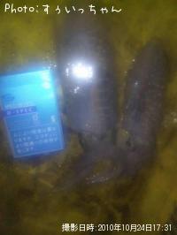 �����ꥤ��