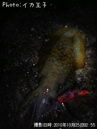 �����ꥤ��