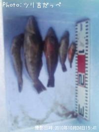 �����ʥᡦ�ϥ�