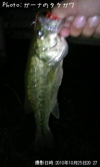 �֥�å��Х�