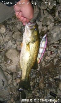 ¥Ö¥é¥Ã¥¯¥Ð¥¹