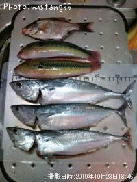 ʿ������