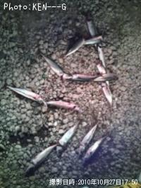 ¥µ¥Ð¥Á¥ã¥ó£³£µÏ¢