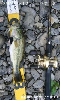 ¥Ö¥é¥Ã¥¯¥Ð¥¹