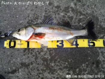 �����Х�