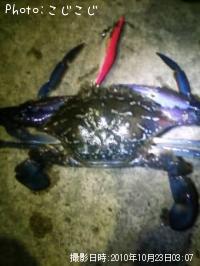 �����ꥤ��