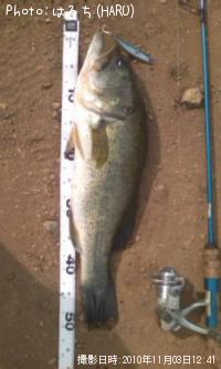 ¥Ö¥é¥Ã¥¯¥Ð¥¹