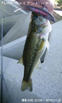 ¥Ö¥é¥Ã¥¯¥Ð¥¹