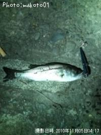 �����Х�