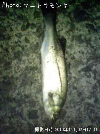 �����Х�