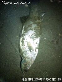 �ҥ饹����