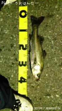 �����Х�