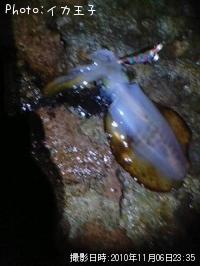 �����ꥤ��