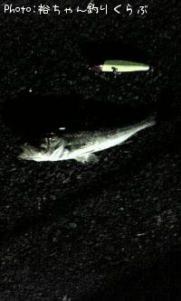 �����Х�