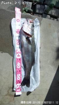 �����Х�