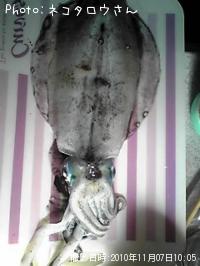 �����ꥤ��