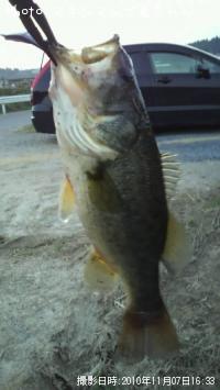 �֥�å��Х�