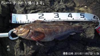 �����ʥ�