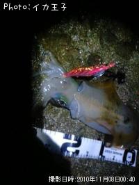 ¥¢¥ª¥ê¥¤¥«