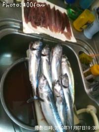 ���������������