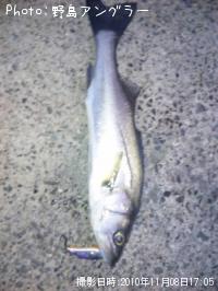 �����Х�