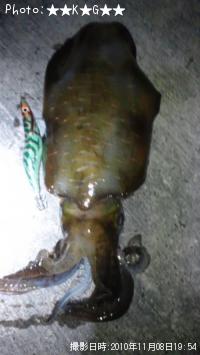 ¥¢¥ª¥ê¥¤¥«