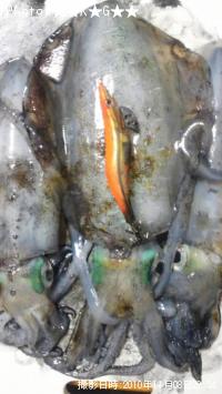 ¥¢¥ª¥ê¥¤¥«