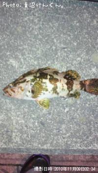 �٥å�������