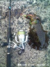 ¥¢¥ª¥ê¥¤¥«