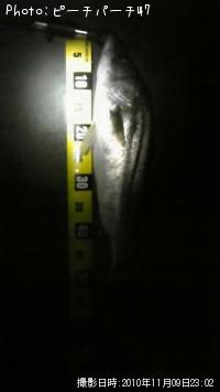 �����Х�