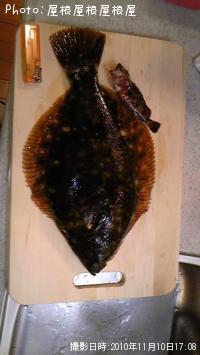 ¥«¥ì¥¤¤Á¤ã¤ó