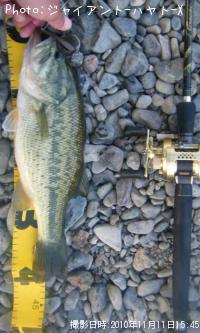 �֥�å��Х�