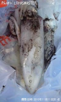 �����ꥤ��