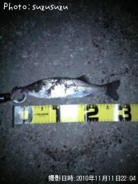 �����Х�