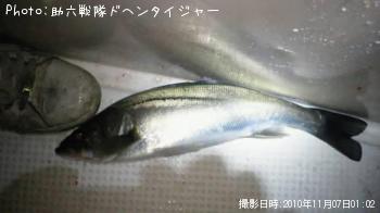 �����Х�