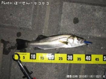 �����Х�