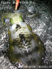 �����ꥤ��