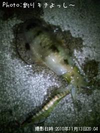 �����ꥤ��