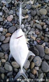 ¥¨¥Ð¡Ê¥á¥Ã¥¡Ë